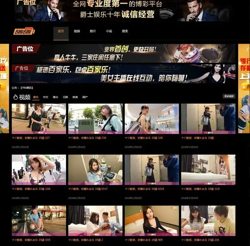苹果CMS视频图片小说源码下载